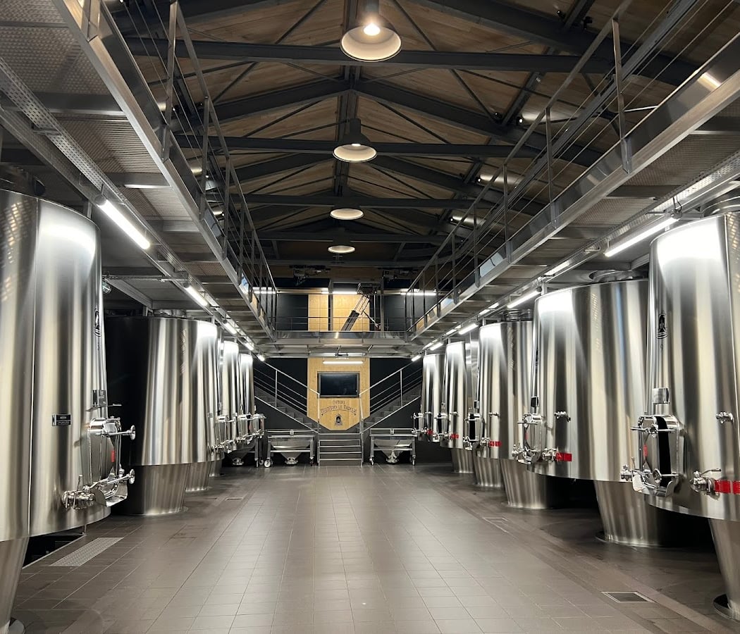 Wine in Black: Blind Tasting Experience 4